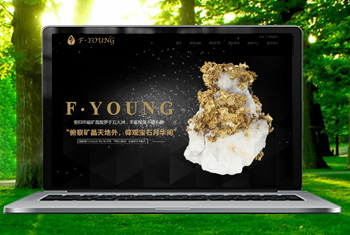 �ɿ˴����������ﱦʯ